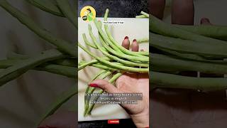 Kya Aapne Kabhi Ehh Ssabhji Dekhi Hai Barbatilong beans ki Sabji  valichi bhajiGoanvegetarian [upl. by Ful45]