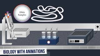 Southern Blot Method  Animated Video [upl. by Audrie]