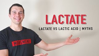 Lactate vs Lactic Acid Explained  Muscle Physiology [upl. by Floridia]