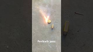 Dewali ka experiment birangi Fevikwik experiment karte hain dekhte hain kaun pass Hota Hai🎇🎆💣🧨🪔 [upl. by Nortad690]