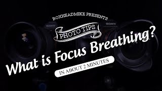 How I use Photopills to take better photos [upl. by Orr]