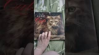 quotFor the Love of Catsquot book cat [upl. by Vullo817]