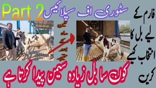 Story of splice2best breeding bulltestcular circumferenceselection of bull for farmwither height [upl. by Hamrnand311]