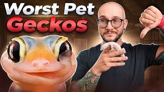 The 5 WORST Pet Geckos and 5 WAY BETTER Options I Bet Youve Never Heard of Number 3 [upl. by Relyat229]