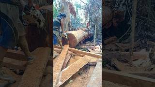 Kayu Merbau woodworking [upl. by Conlon]