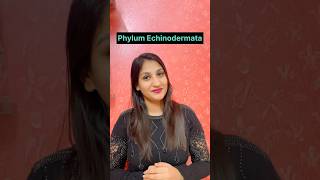 Phylum Echinodermata  Animal Kingdom shorts shortvideo neet biology youtubeshorts neet2025 [upl. by Ydollem]