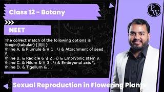 The correct match of the following options is A Plumule 1  Attachment of seed B [upl. by Nylarej856]