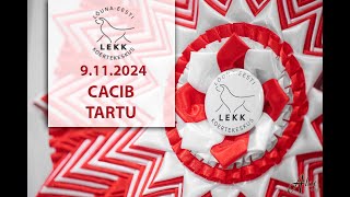 20241109 CACIB Tartu BiS [upl. by Akahs671]