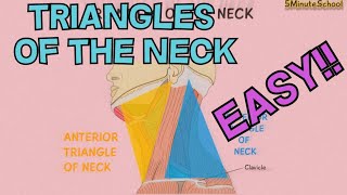 TRIANGLES OF THE NECK ANATOMY MADE EASY  EXPLAINED in 3 MINUTES CERVICAL TRIANGLES [upl. by Kelila833]