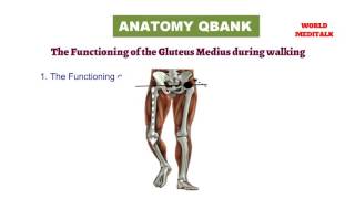 MRCS ANATOMY Q BANK 1 [upl. by Euf89]