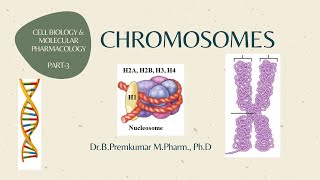 Chromosomes CBMPPart3 [upl. by Yentihw]