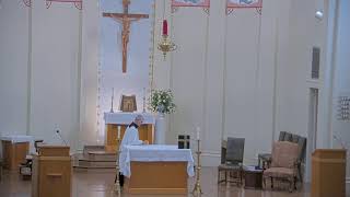 November 11 2024 at 800 am Catholic Mass from Our Lady of Peace in Vacherie LA [upl. by Bone]