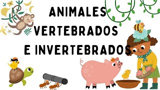 Animales vertebrados e invertebrados  EducaMundo [upl. by Koressa]