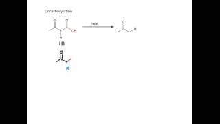 Acetoacetic Ester Synthesis [upl. by Garrek]