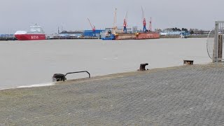 AmerikaHafen Steubenhöft Cuxhaven Live Webcam Livestream [upl. by Evers]