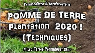 PLANTATION TRADITIONNELLE DE POMMES DE TERRE AU JARDIN POTAGER EN PERMACULTURE PLANTER LES PDT [upl. by Chaworth746]