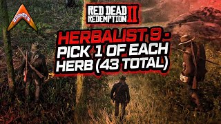 RDR2 Herbalist 9  Pick 1 of each herb 43 Total [upl. by Immanuel]