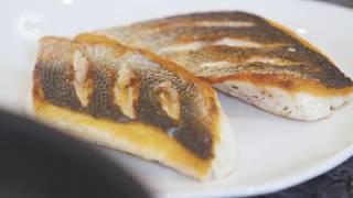 How to PanFry Seabass [upl. by Akeyla]