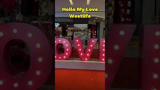 Hello my love  Westlife shorts westlife hellomylove lyrics [upl. by Checani]