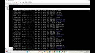 linux command line part 2 [upl. by Harod]