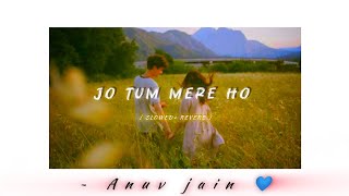 Jo Tum Mere ho  Anuv jain  Sowled and Reverb  Lyrics [upl. by Aneeuqal274]