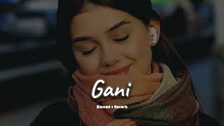 Gani slowed  reverb Akhil  new Punjabi song 2024  KL Lofi [upl. by Ekle]