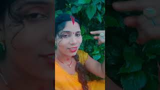 Pramila Bansi gaon ka naam patkhauli Jila Siddharth Nagar [upl. by Nivan]