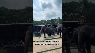 LAWATAN SAMBIL BELAJAR TABIKA KEMAS BAKRI BATU6 DI A FAMOSA SAFARI WONDERLAND ALOR GAJAH MELAKA [upl. by Wistrup453]