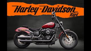 HarleyDavidson STREET BOB FXBB SOFTAIL  KESSTECH  SPEICHEN [upl. by Dinsdale627]