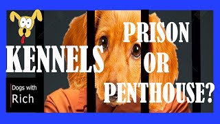 S1  E7 Should You Use a Dog Kennel  Crate  PUPPY PRISON or PENTHOUSE [upl. by Ecinev]