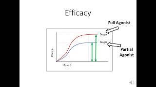 Efficacy vs potency [upl. by Angeline]