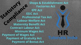 Statutory Compliance  Labour Law Compliance  HR Tutorials India  What is Statutory Compliance [upl. by Padget]