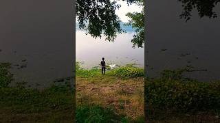 Joyful Moments Boy Playing with Goose by the Pond [upl. by Ettevy]