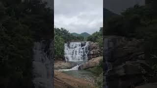 DEVARAPALLI WATERFALLS devarapalli waterfall beautifulnature peaceofmind waterfallsounds 🌊🌊🌊 [upl. by Cormier309]