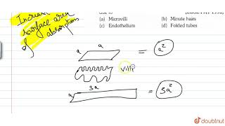 The proximal convoluted tubule has a brush border which is due to [upl. by Aynotel920]