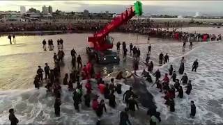 La carta viral contra los voluntarios que querían salvar a la ballena encallada en Mar del Plata [upl. by Ettennor]