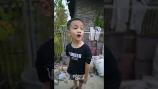 Mandiin Labubu viral viralvideo shorts [upl. by Ecinert]