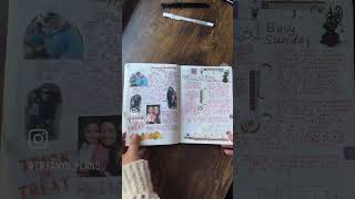 A little flippity flip of October pages in my hobonichi HON [upl. by Oicafinob477]