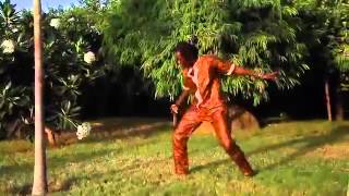 Salam Diallo Feat Wally Ballago Seck  quot CHAUFFEUR BI quot [upl. by Adnawad]