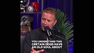 Kirk Herbstreit talks about his dog Ben kirkherbstreit benherbstreit collegegameday shorts [upl. by Vassaux]