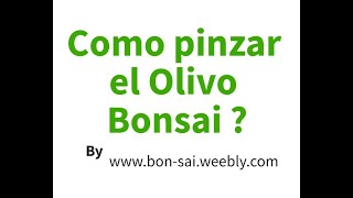 Como pinzar Olivo Bonsai  Pinzado del Olivo  Cortar brotes Olivo Bonsai  Cuando pinzar el Olivo [upl. by Gualterio]