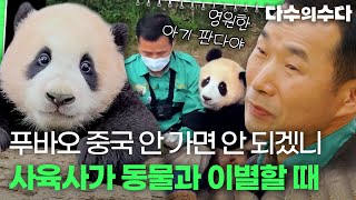 이번에 가면 못 돌아오는 거였어요😢 아쉬운 헤어짐을 준비하는 사육사들의 이야기｜다수의 수다｜JTBC 220121 방송 [upl. by Odidnac945]