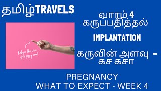 Pregnancy  what to expect week 4 ¦ கர்ப்பம்  வாரம் 4 என்ன நடக்கும் Tamil Travels tamilvlogs [upl. by Shaeffer]