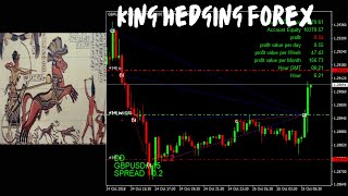 The King Hedging Forex  MT4 EA Build 1424☑️No DLL [upl. by Greerson210]