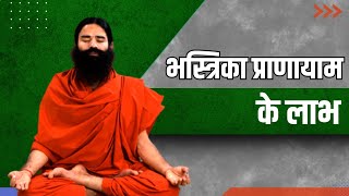 भस्त्रिका प्राणायाम Bhastrika Pranayam के लाभ  Swami Ramdev [upl. by Nnylanna]