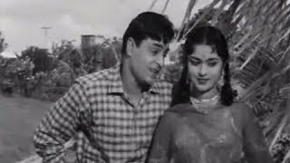 Teri Pyaari Pyaari Surat  Superhit Classics Romantic Song  Rajendra Kumar amp Saroja Devi  Sasural [upl. by Anhej542]