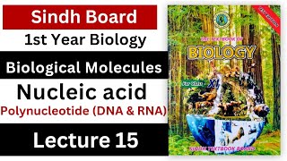 Polynucleotide  DNA and RNA  nucleic acid  biological molecules  class 11 biology Sindh [upl. by Ayhay426]