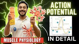 action potential physiology in hindi  ionic basis of action potential in skeletal muscle physiology [upl. by Eob]