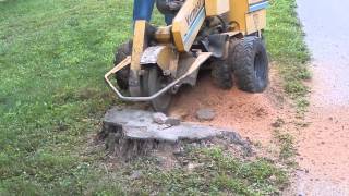 Stump grinder in action Vermeer CampC Equipment [upl. by Loralie]