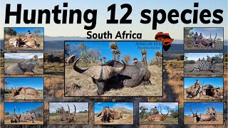 A Busy Hunt in SA  more than 12 animals taken [upl. by Herodias301]